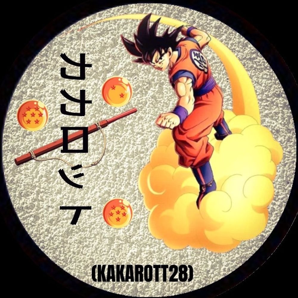 Kakarott28/Gamer's Paradise podcast