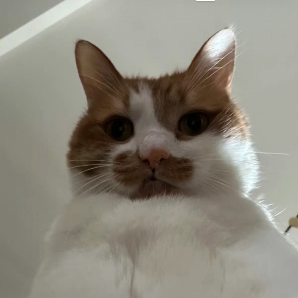 krispy47.bsky.social