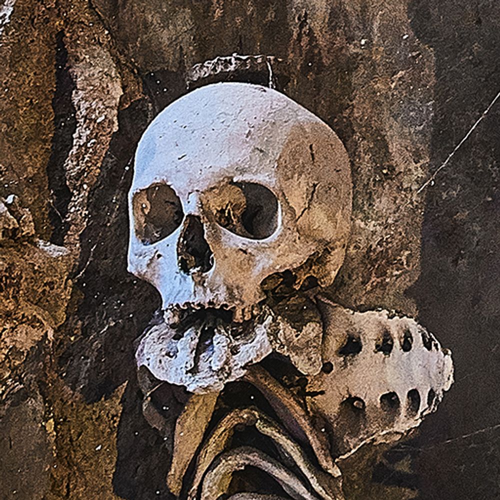 Sedlec Ossuary Project