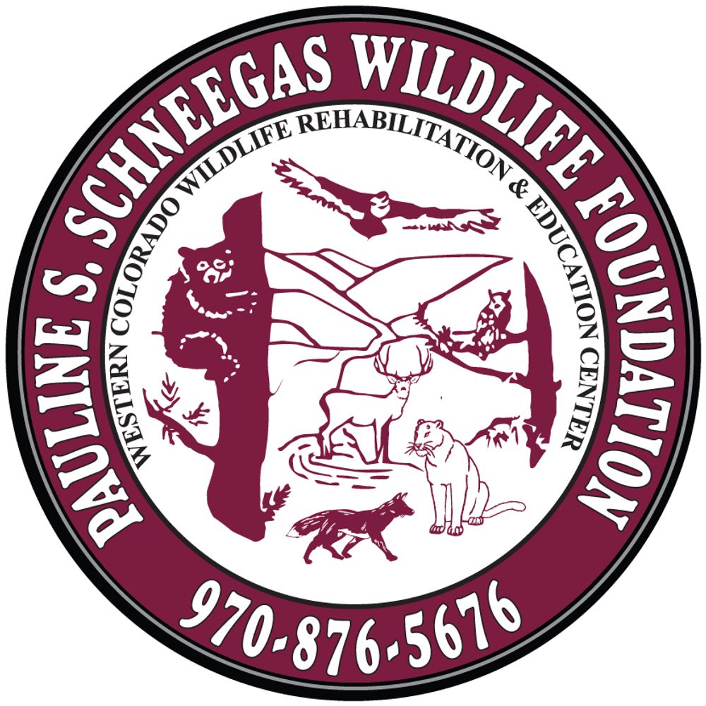 Pauline S. Schneegas Wildlife Foundation