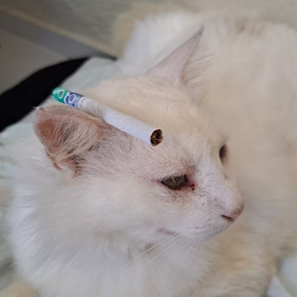 SuiPard