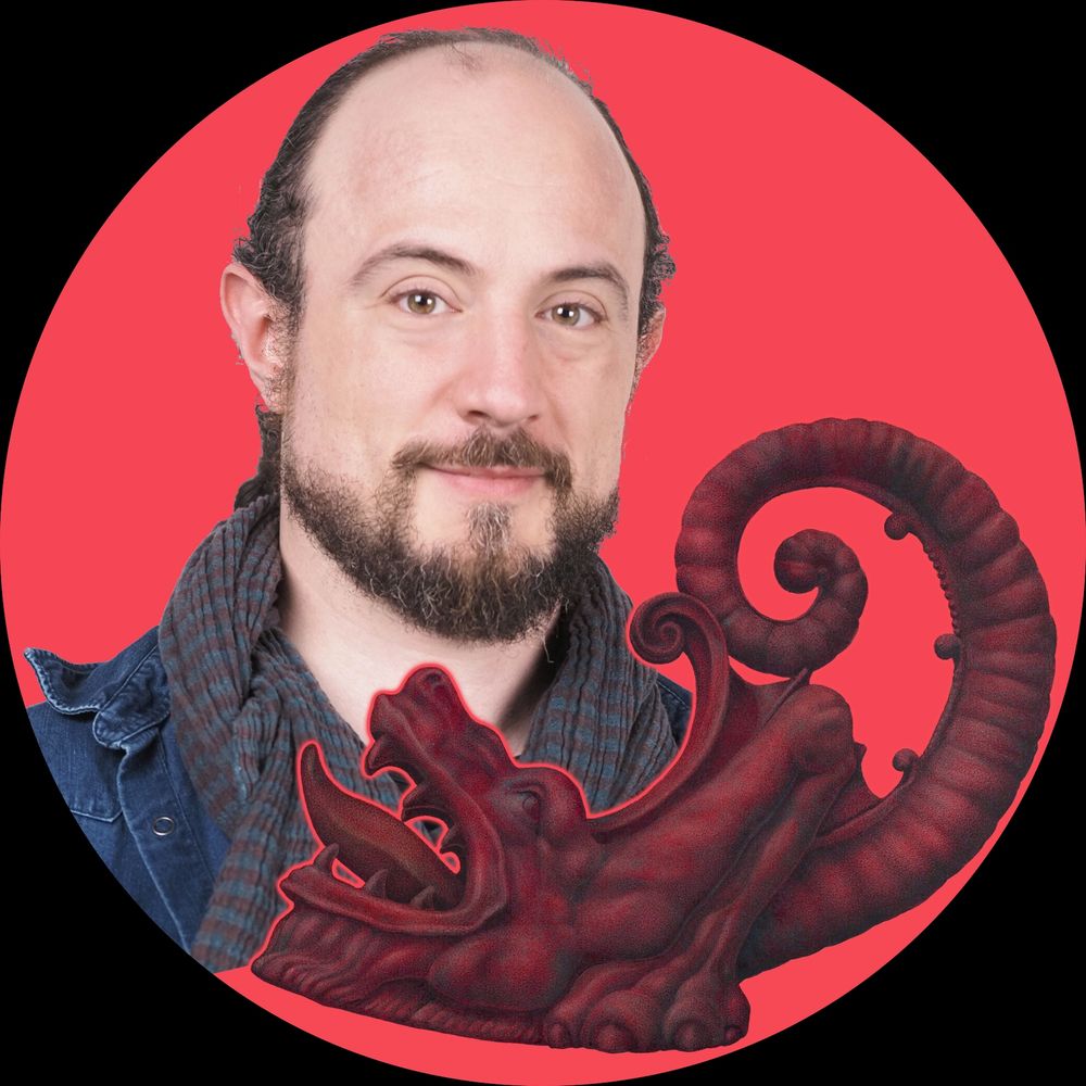 Paolo Davolio | Echidna Design