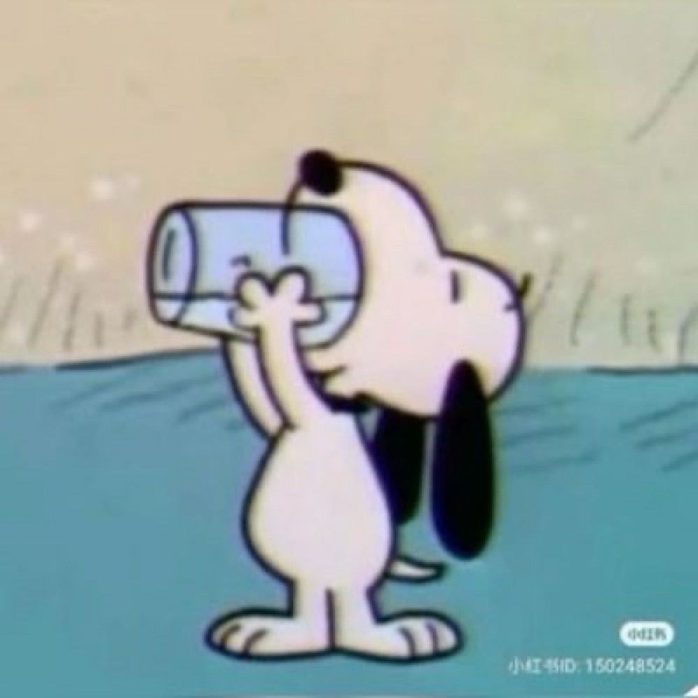 snoopy ⸆⸉ ོ ¹ᴰ | TAYCOUVER N2
