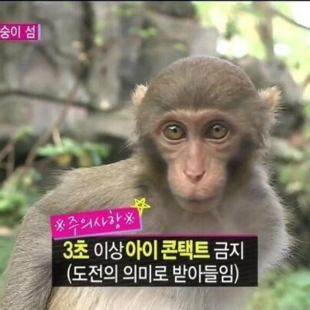 웅동이