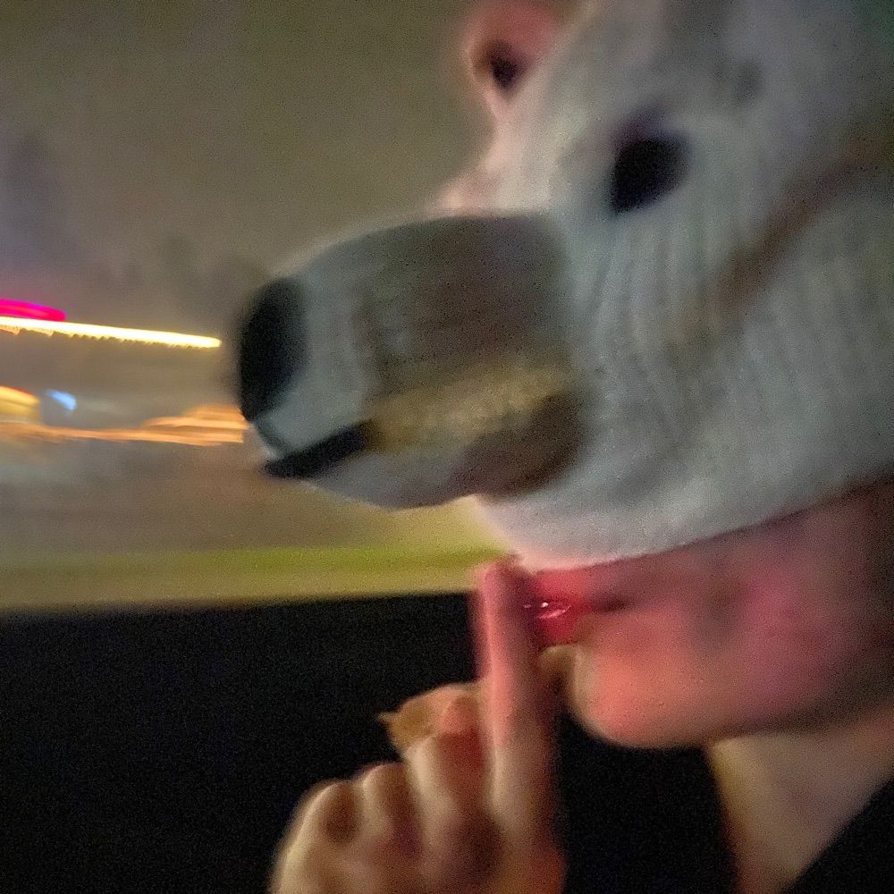 HolyMackeral