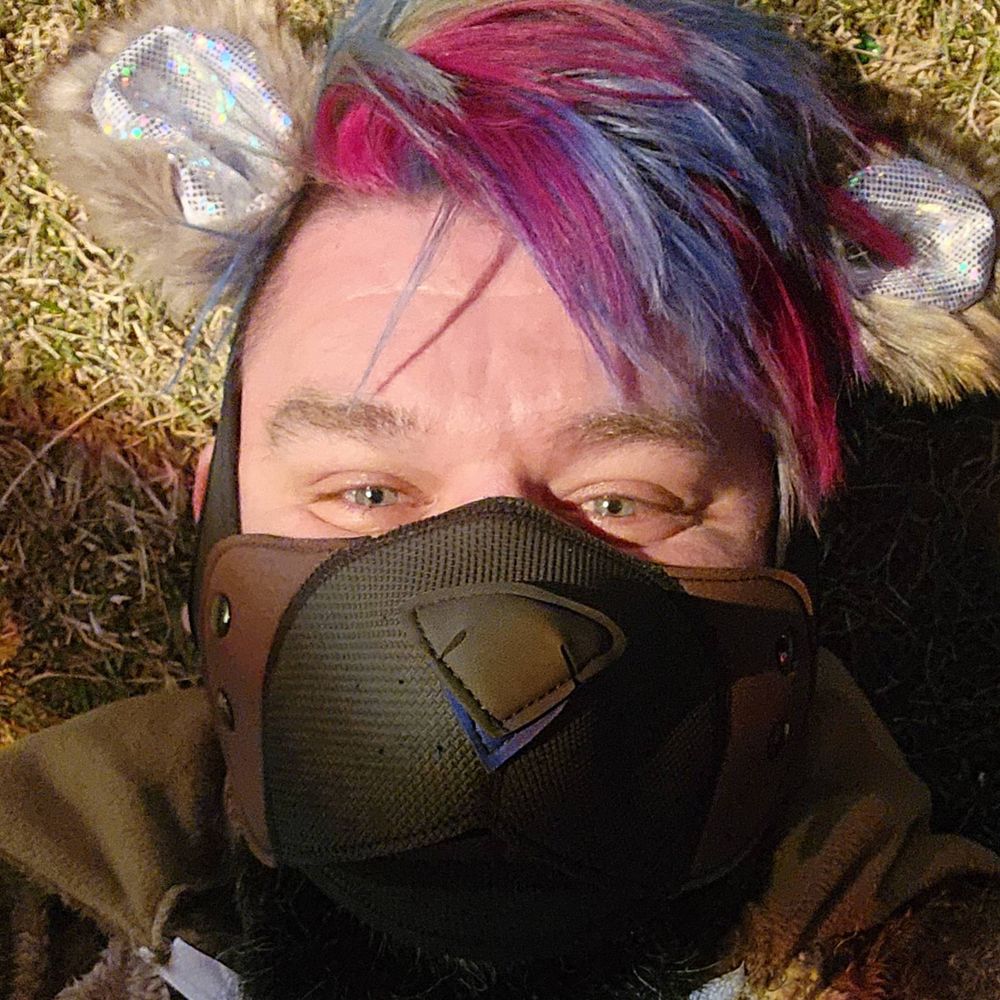 Kryton bear