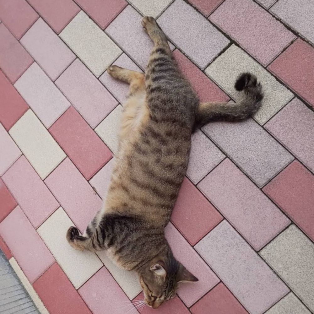 水瀬そら