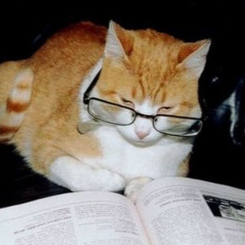 Dr. Kat