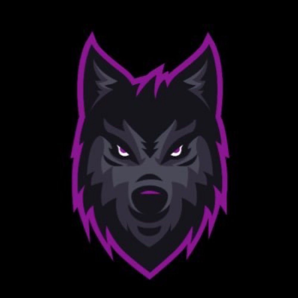 Profile picture mnwolfden.bsky.social