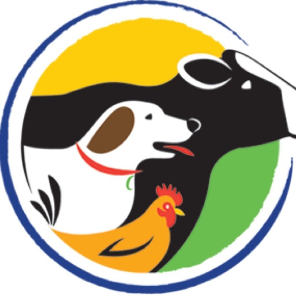 Shamayim: Jewish Animal Advocacy