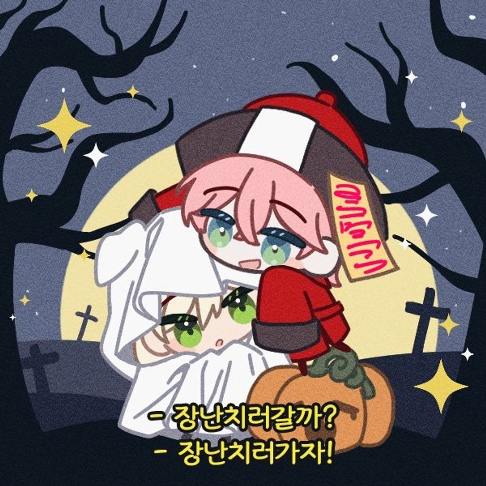파이파이