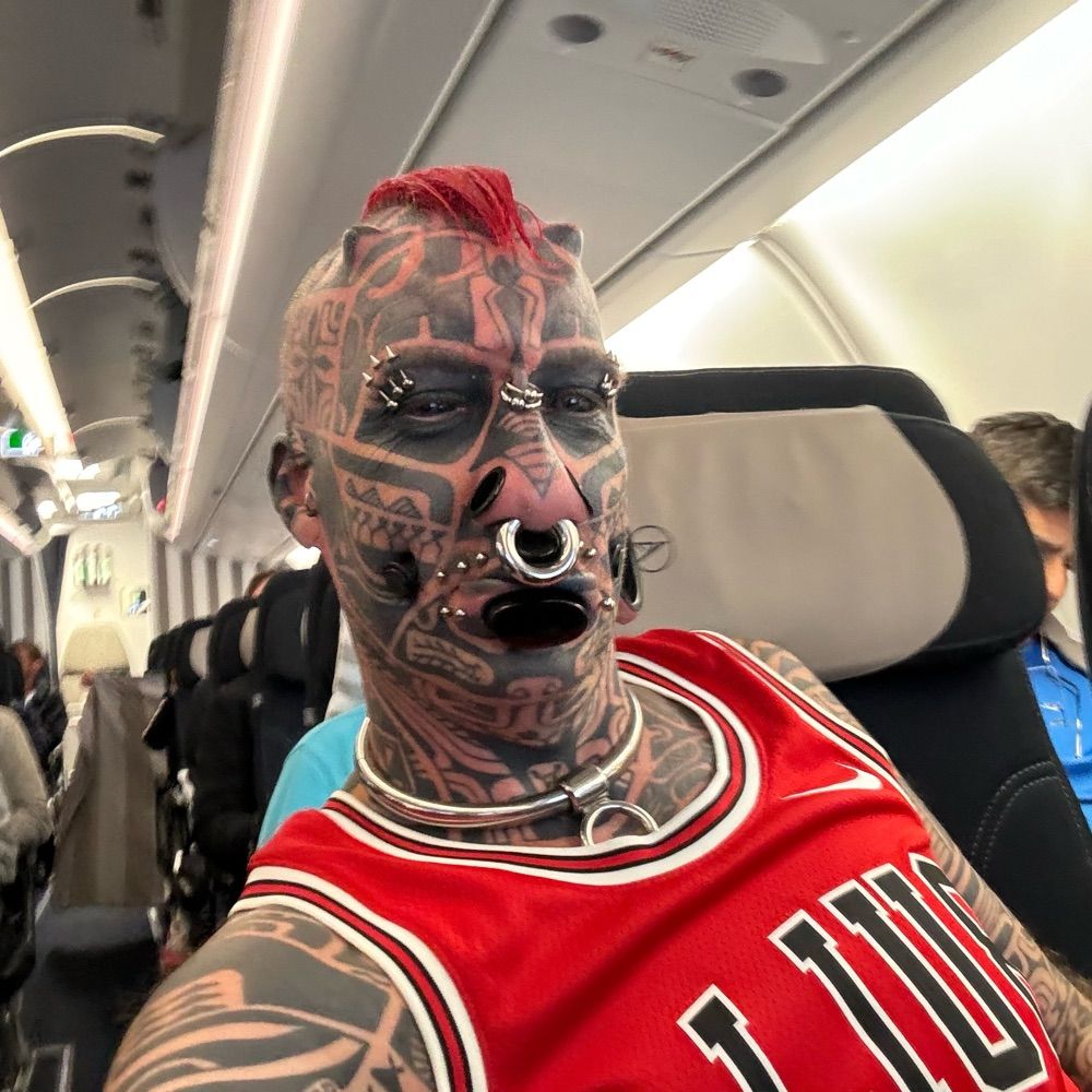 ModPunkPig