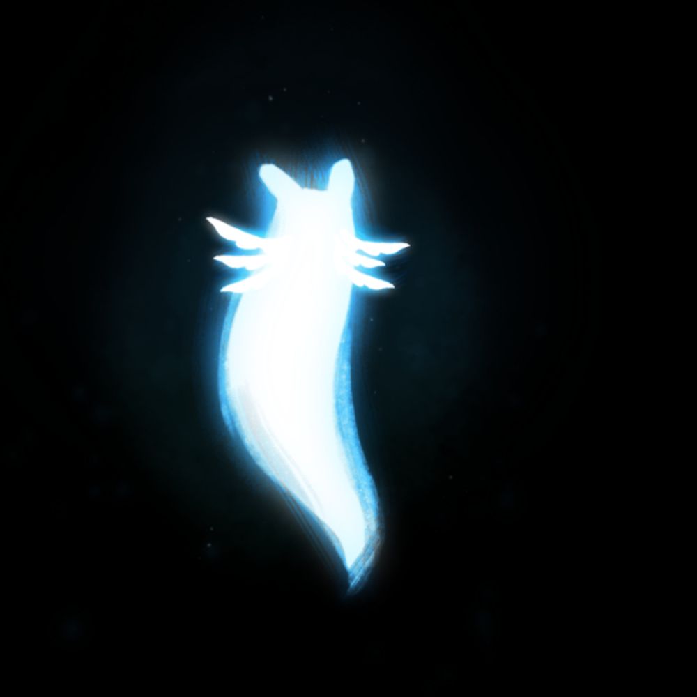 Kelinthebox