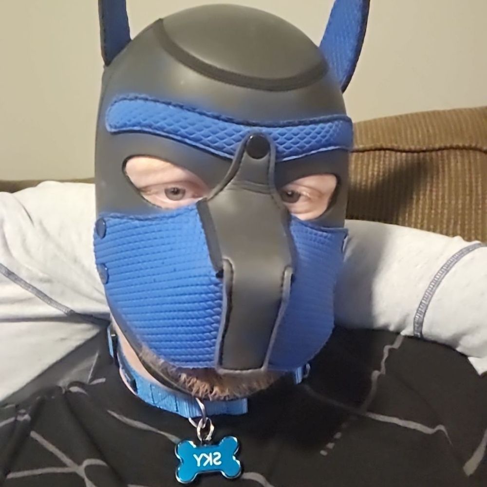 Pupper Sky