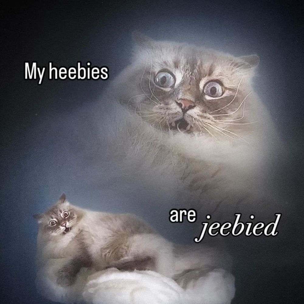 Reesy