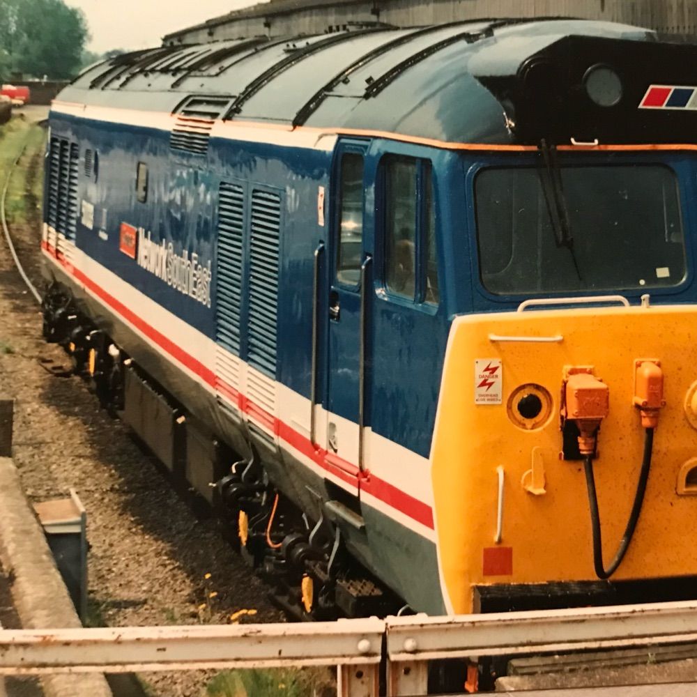 50033