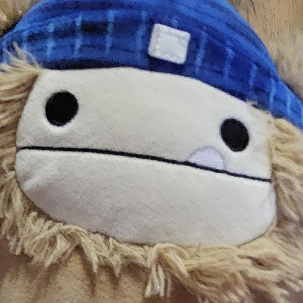 ʕ•ᴥ•ʔ