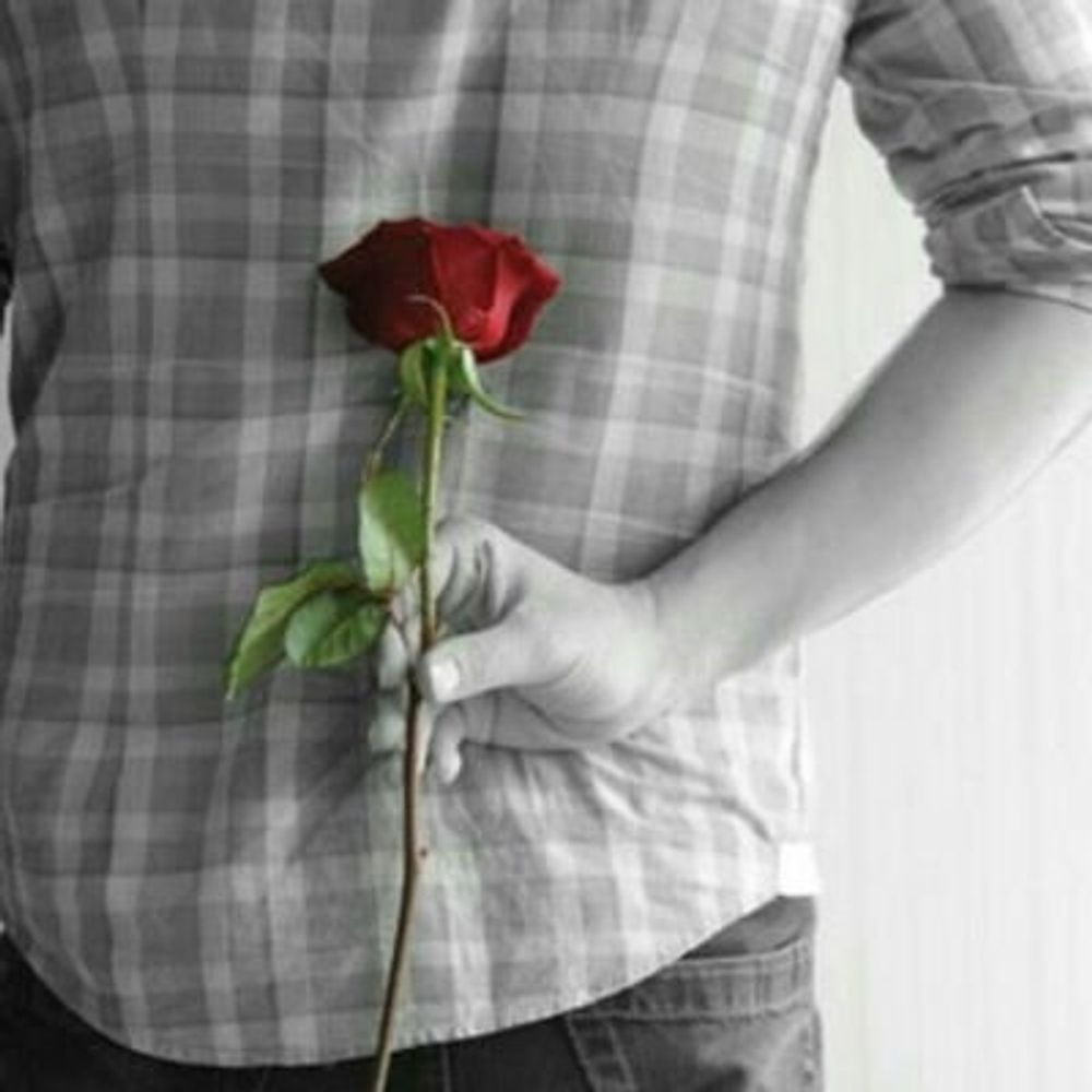 ariou.arash