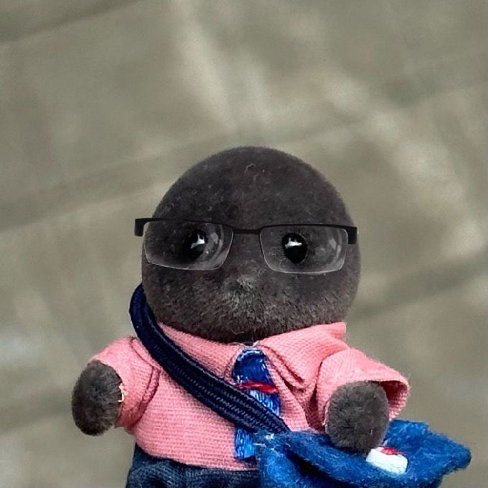 𝒮𝑜 𝓈𝓊𝒶, 𝐿𝓊𝒶 ⚢