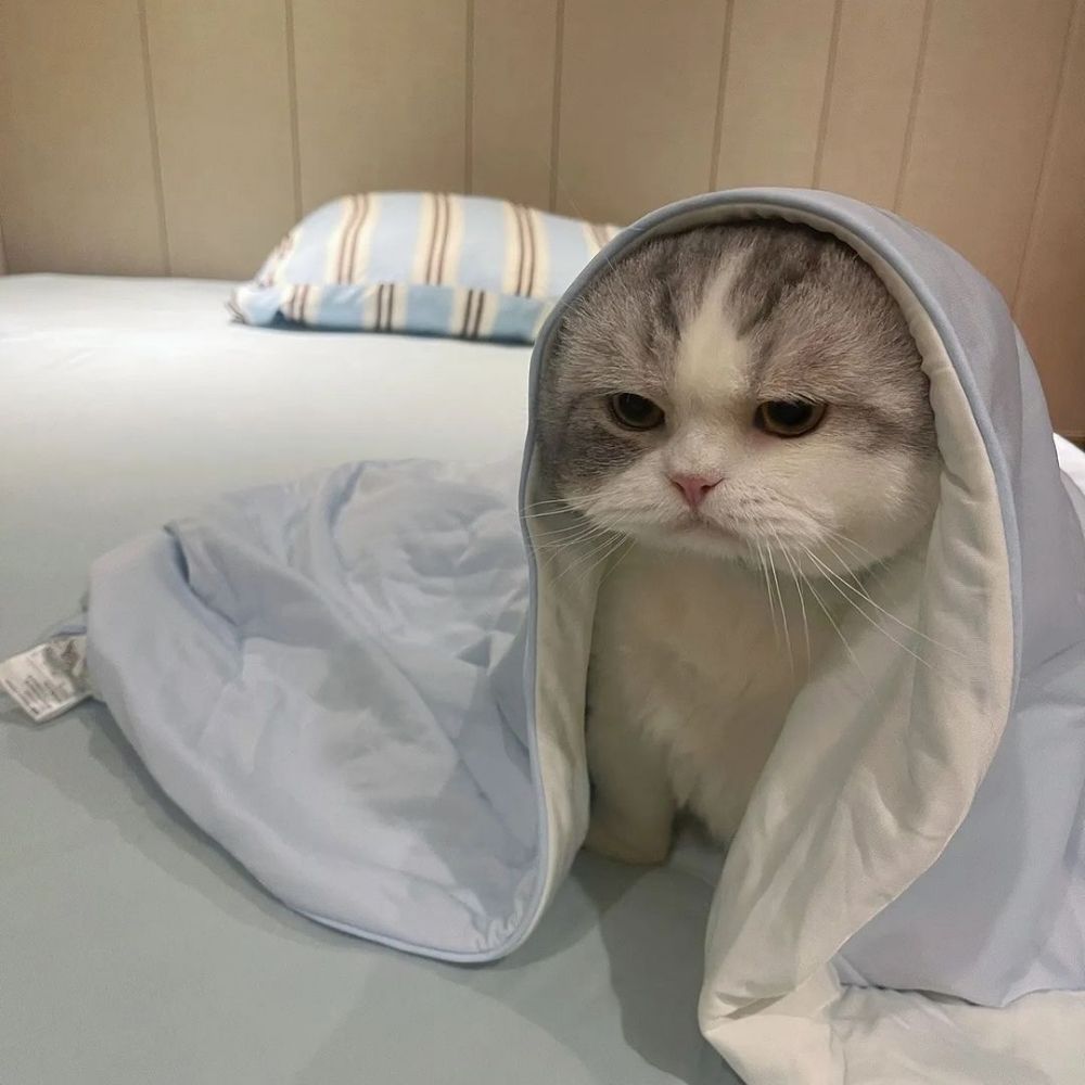 Mingye's little clam
