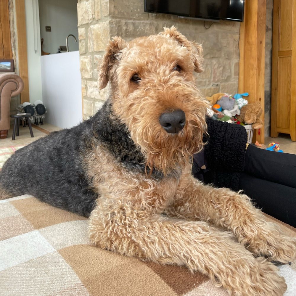 Reggie and Fred (OTRB)