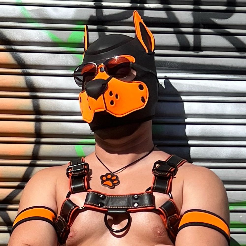 Pup Darkshine