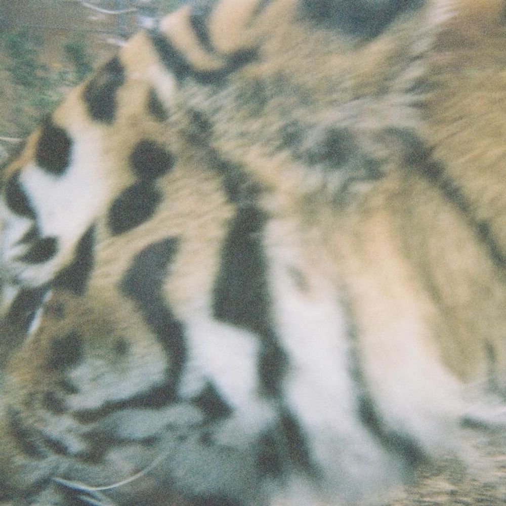 とみひこ