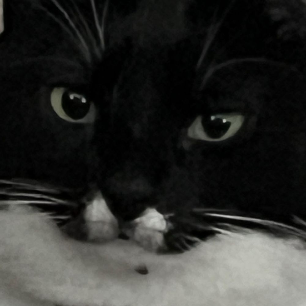 Dave
