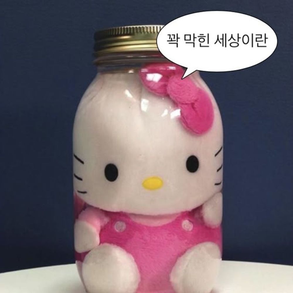 ૮꒰ ⸝⸝´ ᵕ `⸝⸝ ꒱ა
