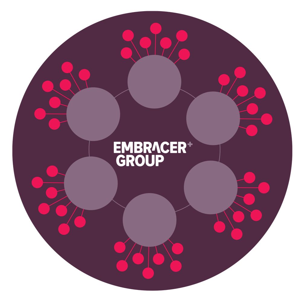Embracer Group Investor