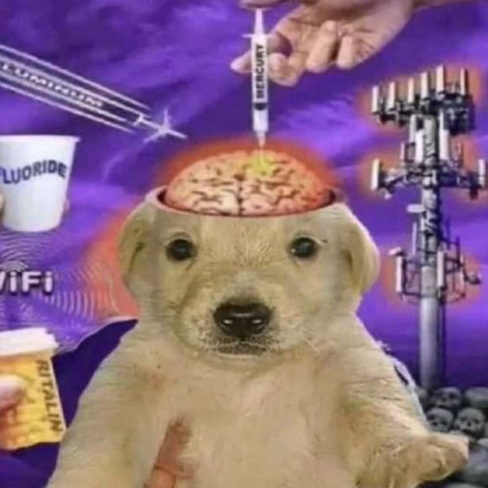 .