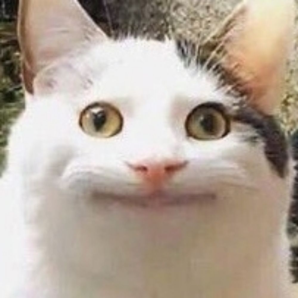 あむぅ