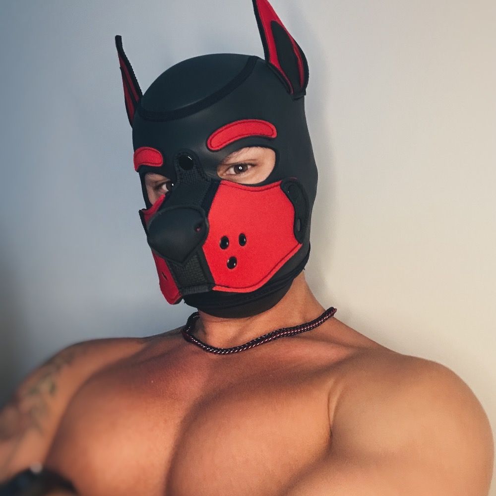 Profile picture pupbandit.bsky.social