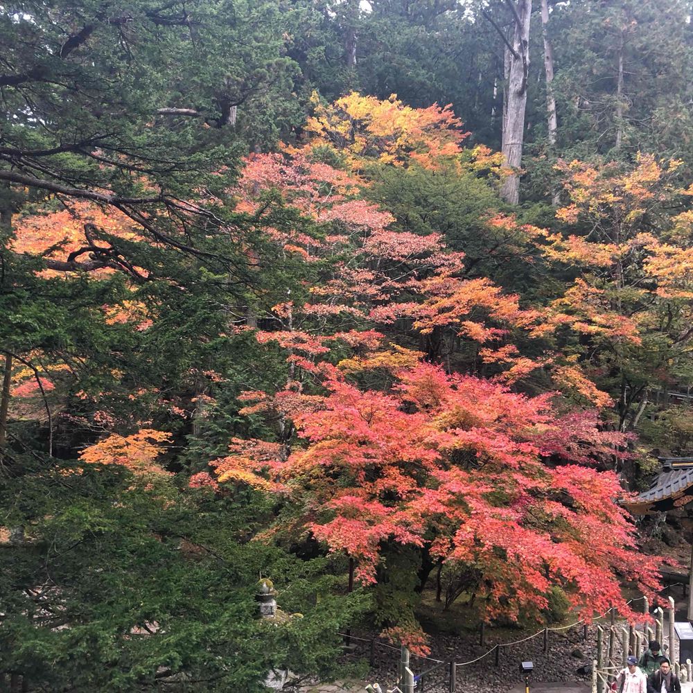 みりきんぐ