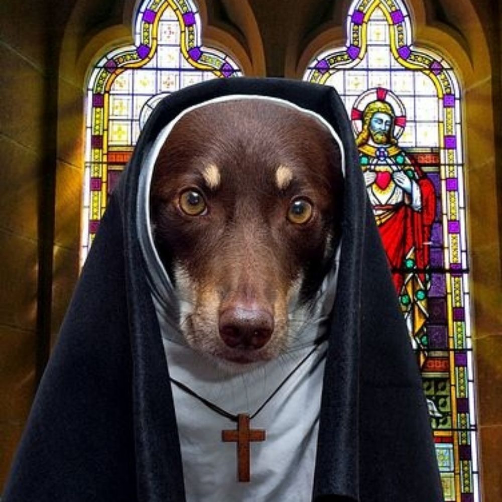 Cloister Nunmonk