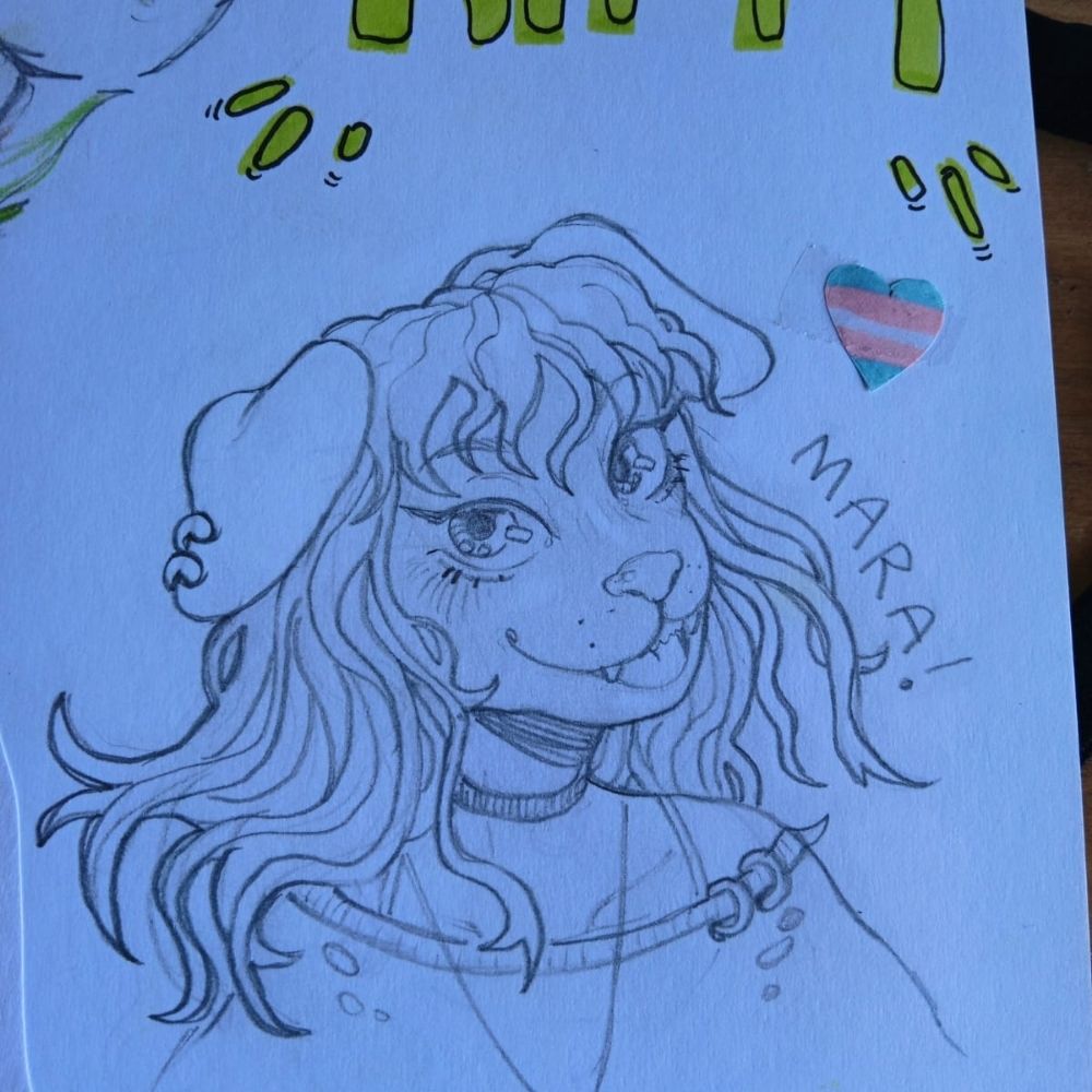 Mara&cats 🏳️‍⚧️