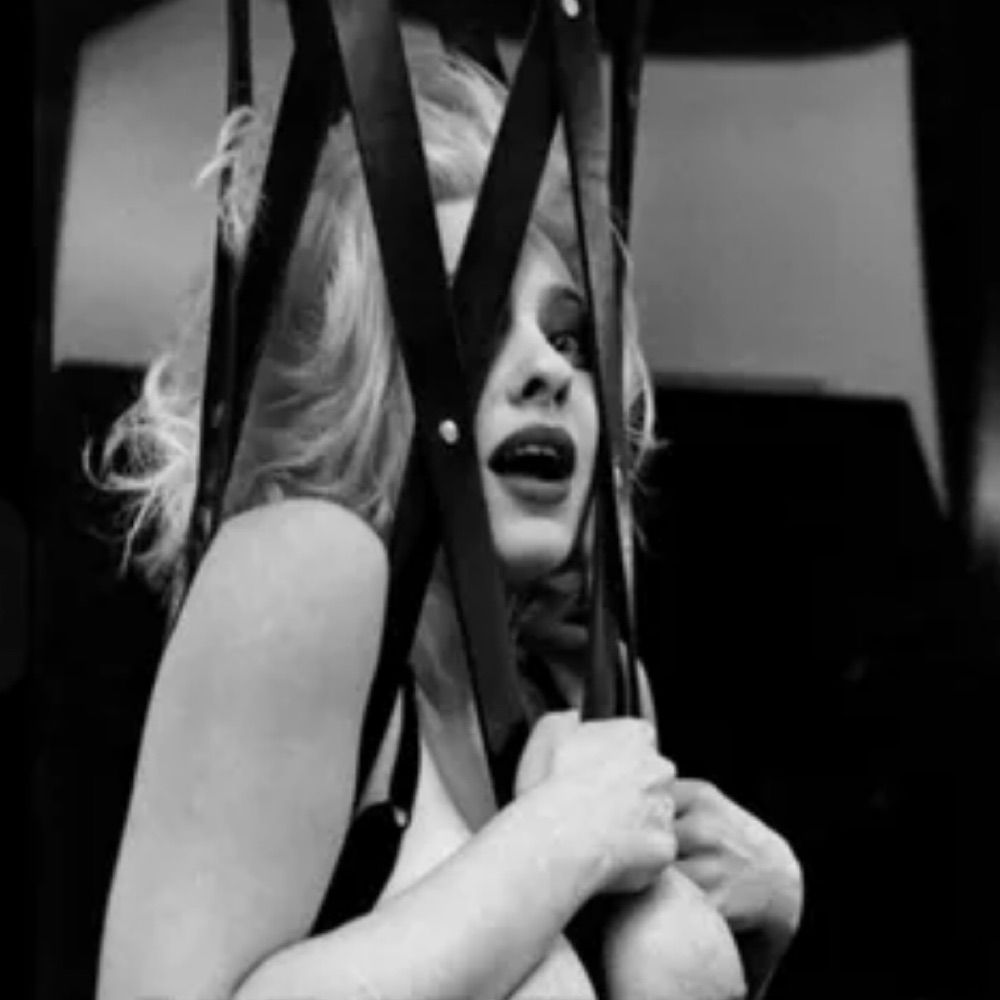Art of Erotica (Documentary)