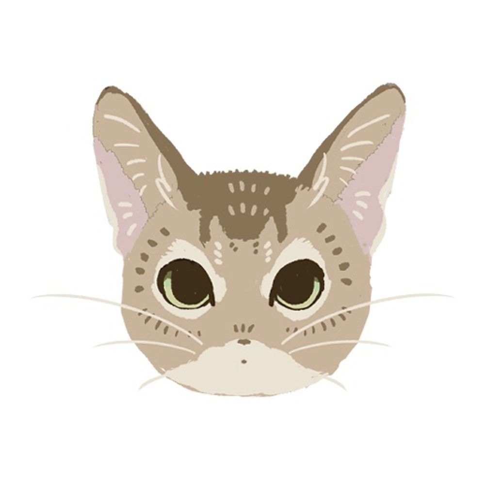かみや