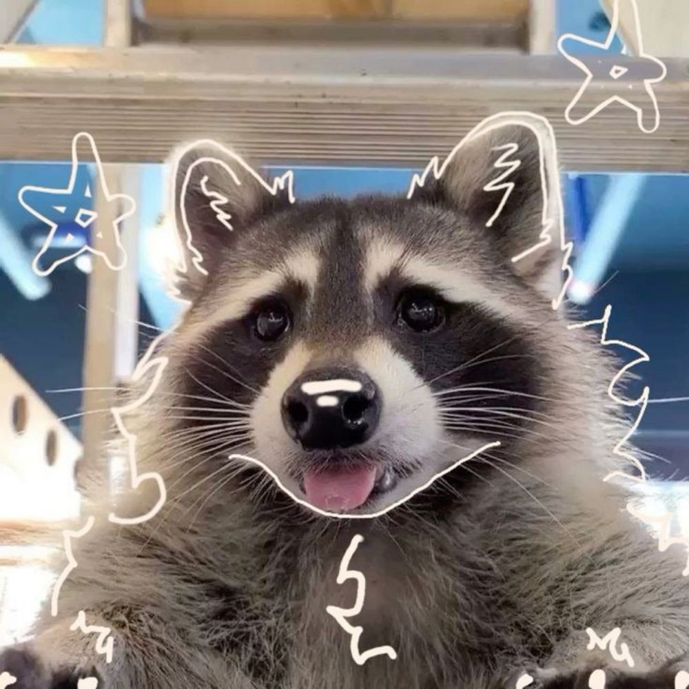 cr×꩜spng ^_^ 🦝