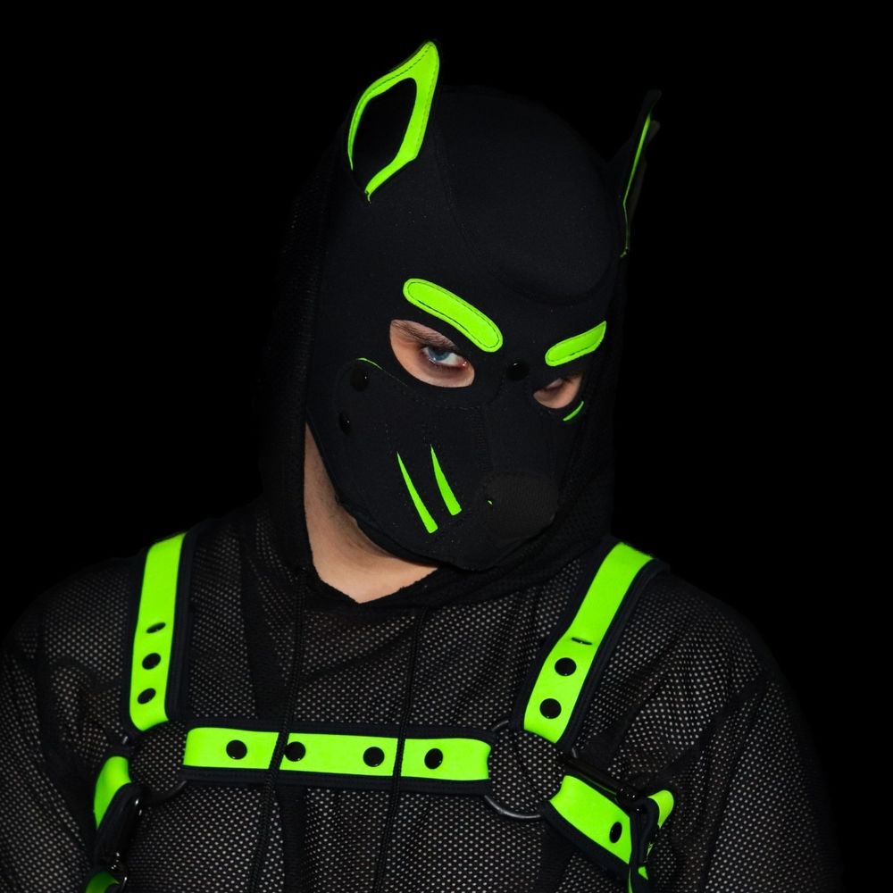 𝗣𝘂𝗽 𝗘𝗻𝘃𝘆