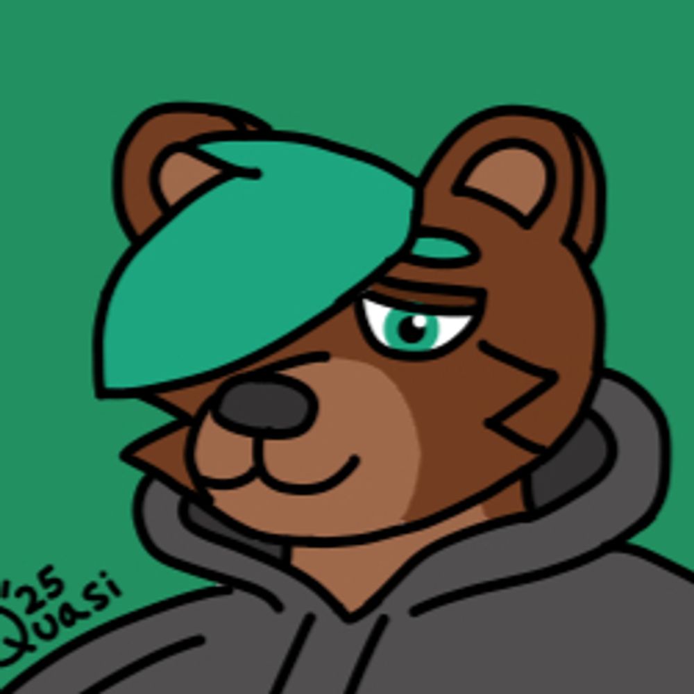 Quasi The Bear ʕ •ᴥ•ʔ