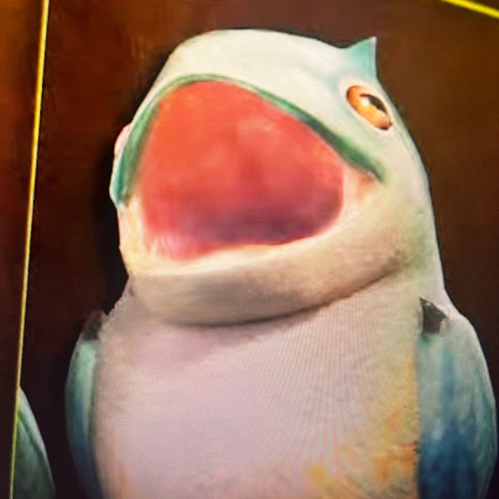 ふに。
