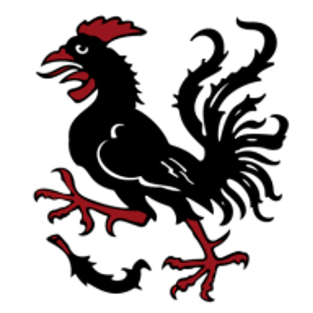 Reutlinger Zirkus