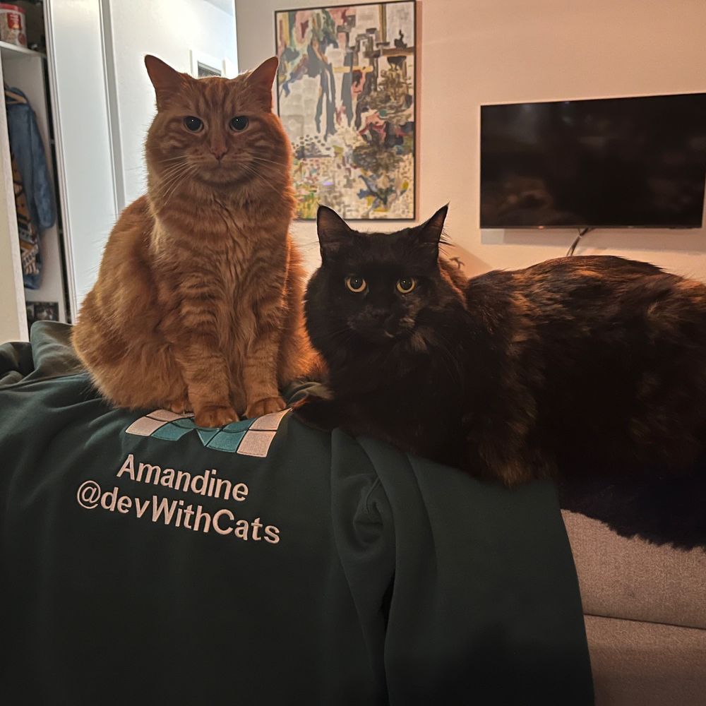 DevWithCats