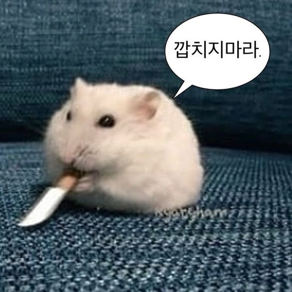 윤슬