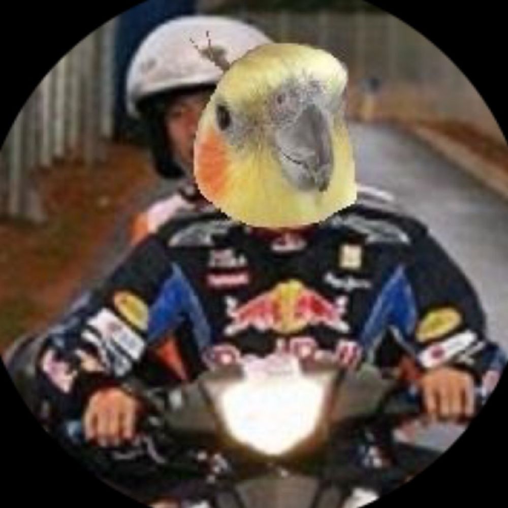 トロンベは巨大なインコ🦜(パンダさんパワー✊🐼✊)