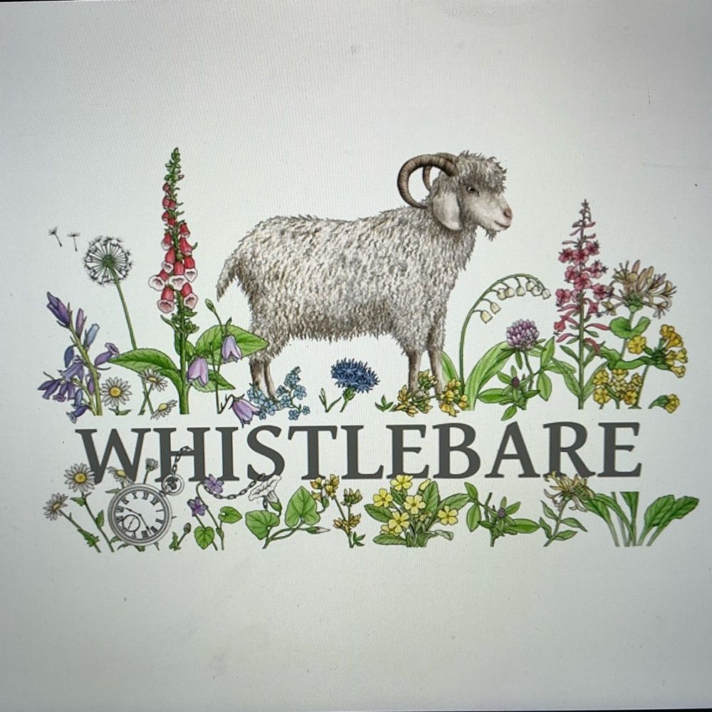 Whistlebare | Alice Elsworth
