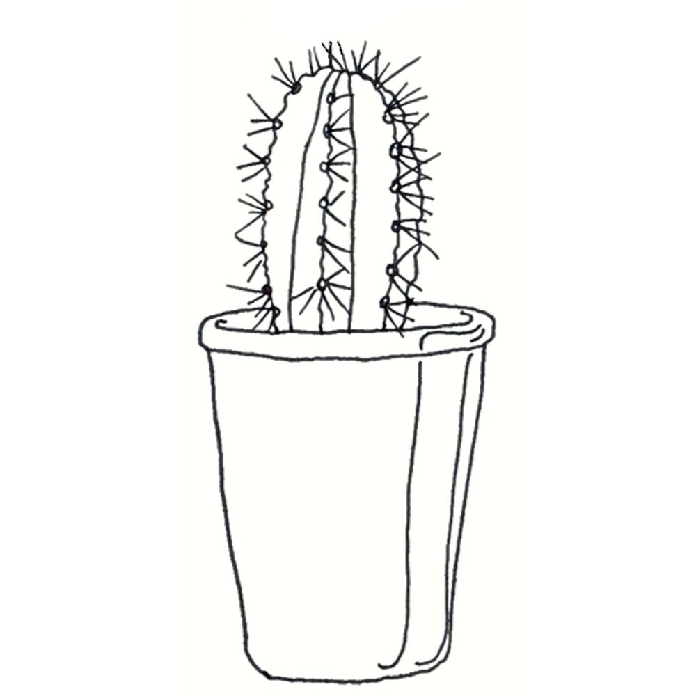 suninzangc.bsky.social