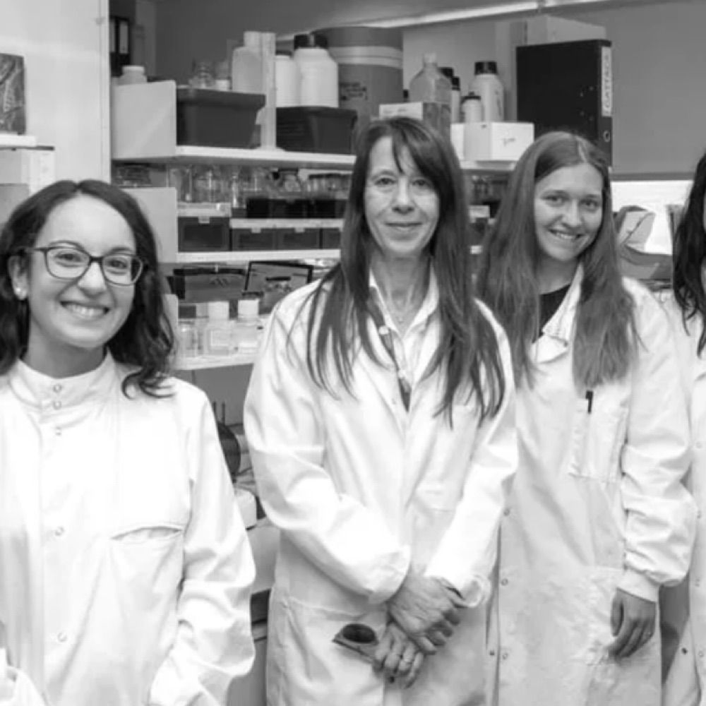 EX-CELL Verderio Edwards Lab