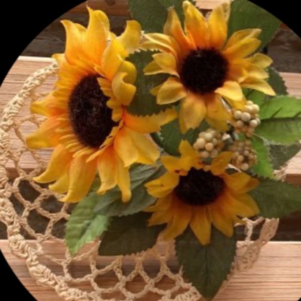 🌻向日葵🌻